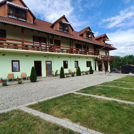 Pensiunea Leia Transfagarasan Cartisoara Exterior photo