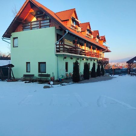 Pensiunea Leia Transfagarasan Cartisoara Exterior photo